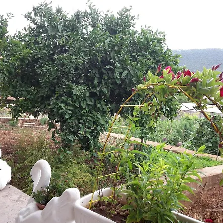 With A Parking Space Grebastica, Sibenik - 13860 * Baselovici