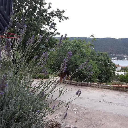 With A Parking Space Grebastica, Sibenik - 13860 Apartamento Baselovici