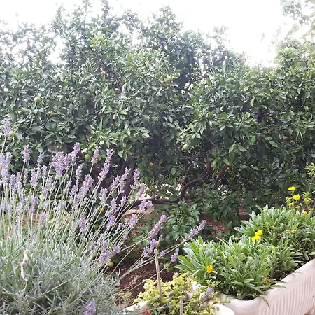 Daire With A Parking Space Grebastica, Sibenik - 13860 *