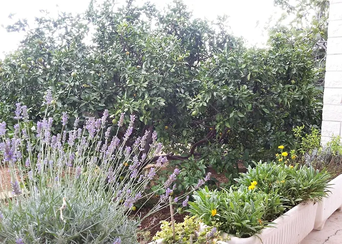 Daire With A Parking Space Grebastica, Sibenik - 13860 *